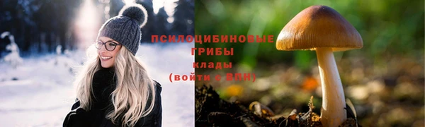 спайс Абаза