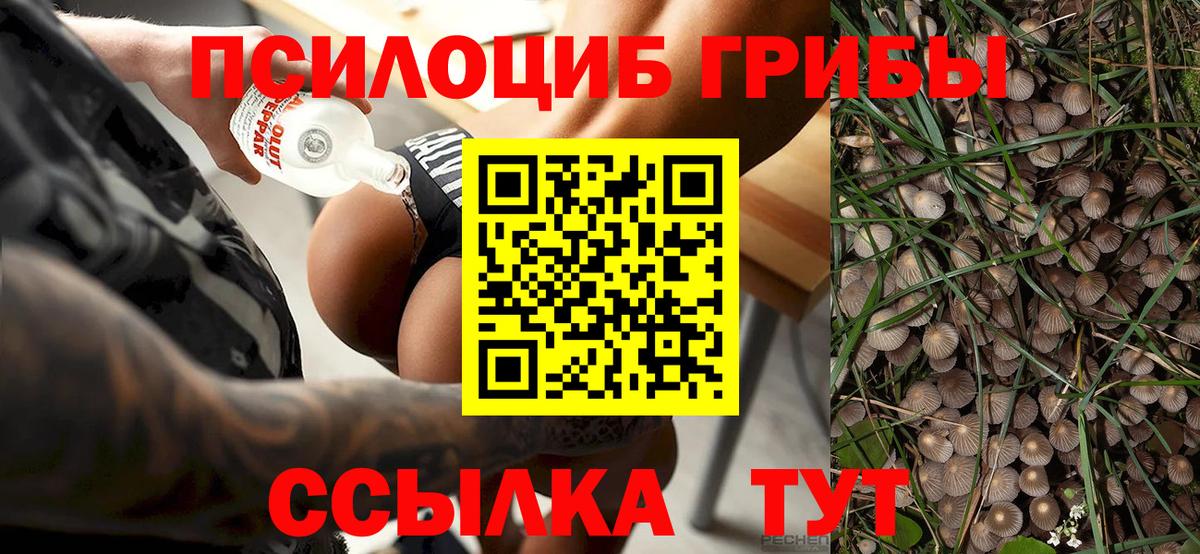 Псилоцибиновые грибы мицелий Россошь